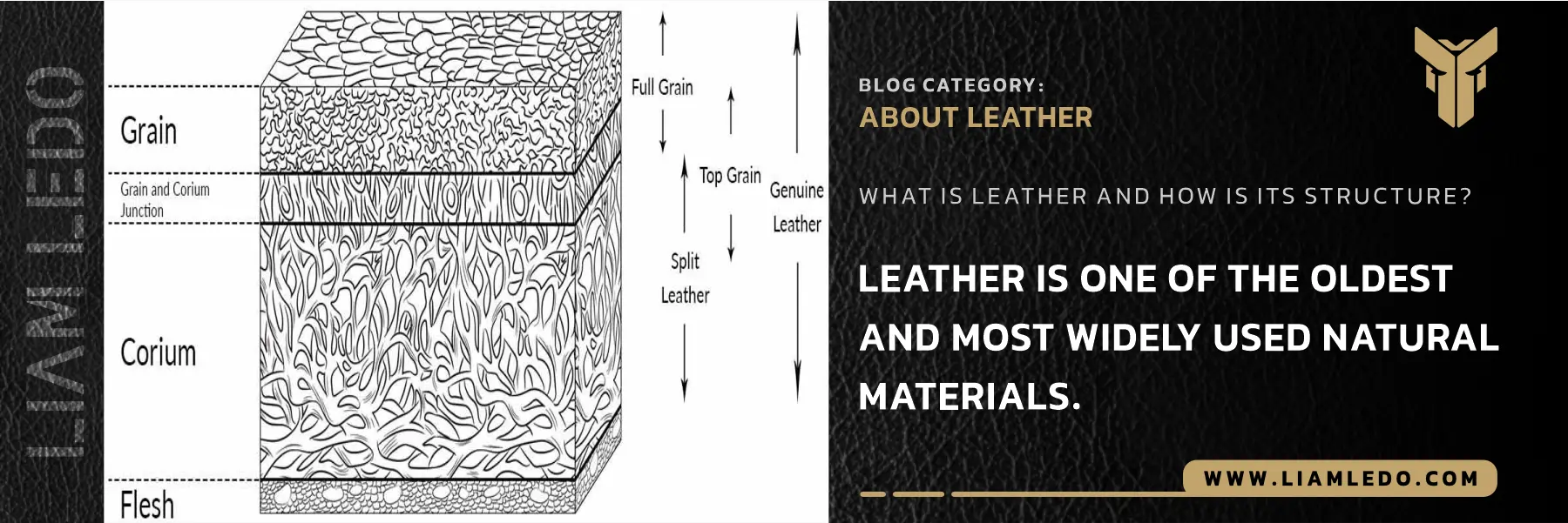 Cross-section diagram of leather structure showing epidermis, dermis, hypodermis, and collagen layers