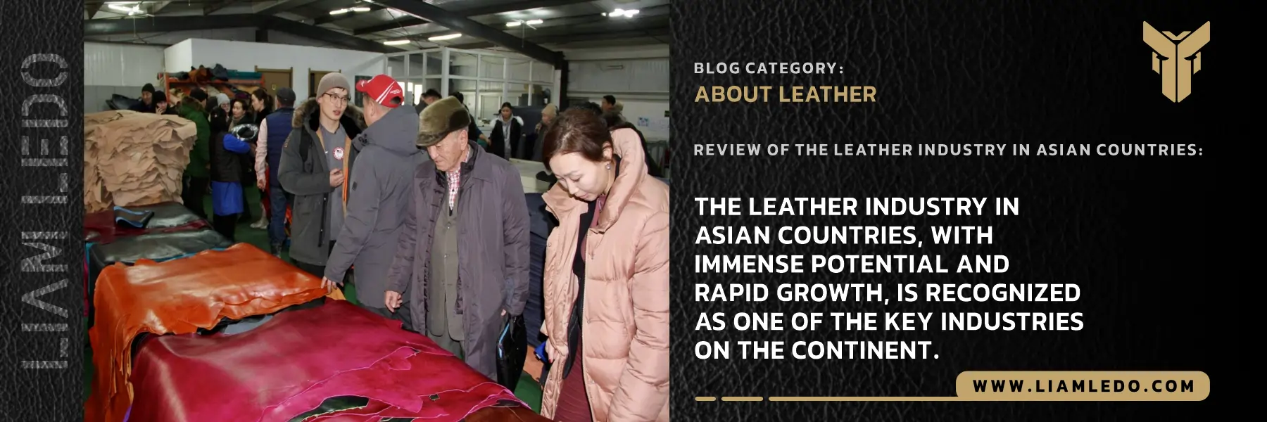 Overview of the leather industry in Asia including history, production, challenges, and future trends