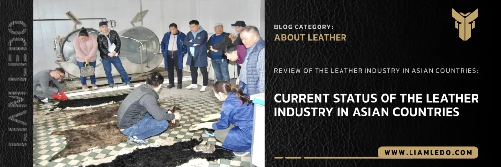 Overview of the leather industry in Asia including history, production, challenges, and future trends