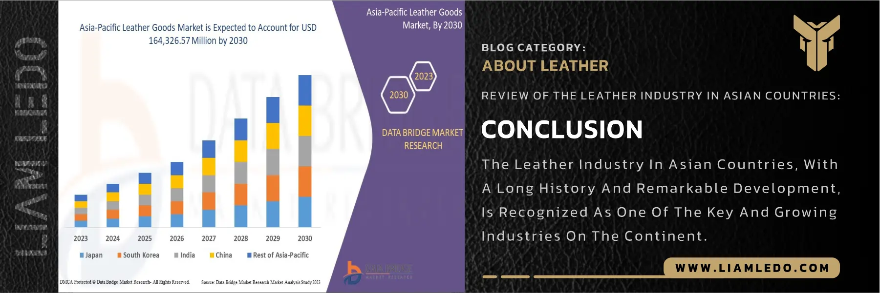 Overview of the leather industry in Asia including history, production, challenges, and future trends
