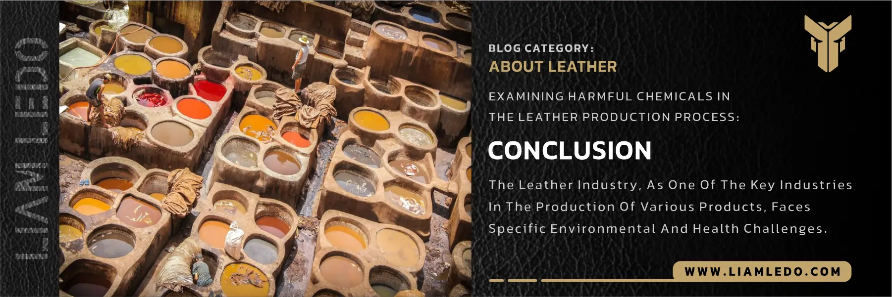 Leather tanning harmful chemicals used in industrial leather production process