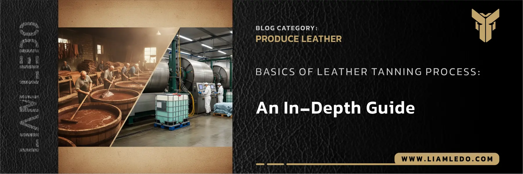 Basics of leather tanning process showing traditional vegetable tanning and modern chrome tanning methods in a detailed, documentary-style scene highlighting leather preservation techniques