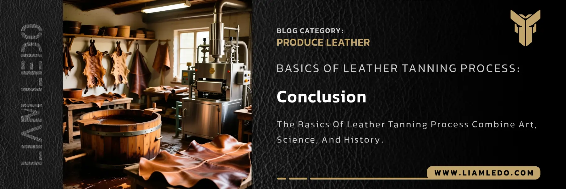 Basics of leather tanning process showing traditional vegetable tanning and modern chrome tanning methods in a detailed, documentary-style scene highlighting leather preservation techniques